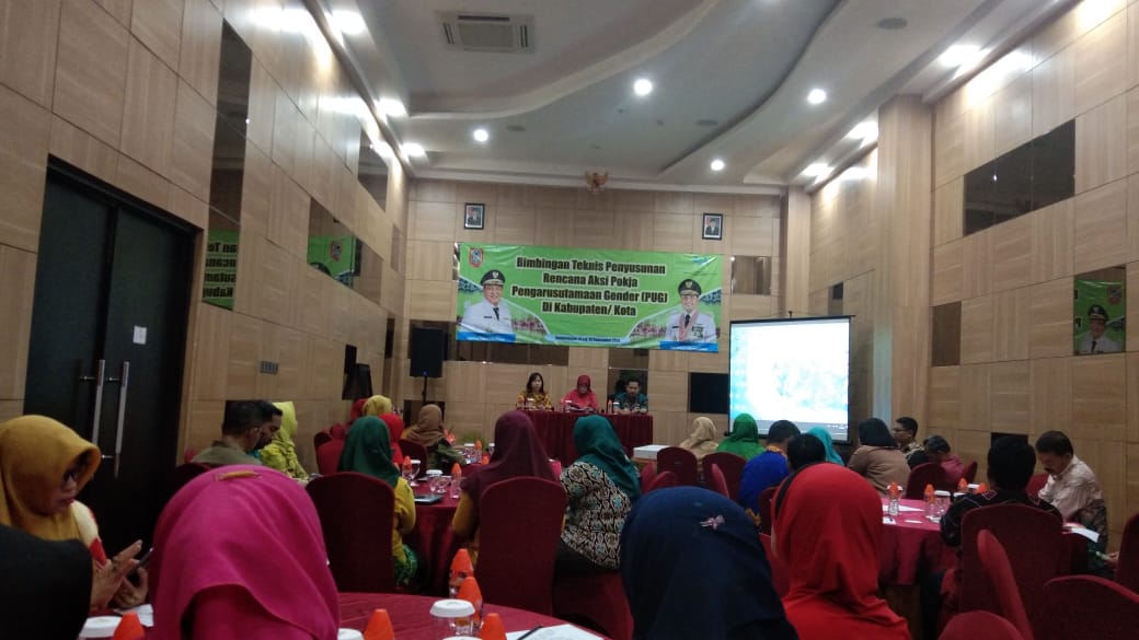 Bimbingan Teknis Penyusunan Rencana Aksi Pokja Pengarusutamaan Gender (PUG) di Kabupaten/Kota